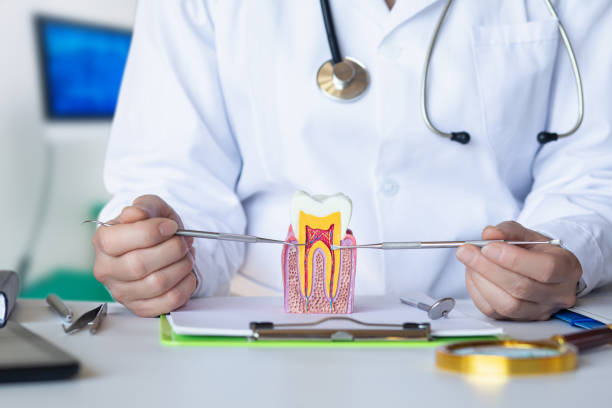 Best Broken or Chipped Tooth Repair in Holly Springs, GA